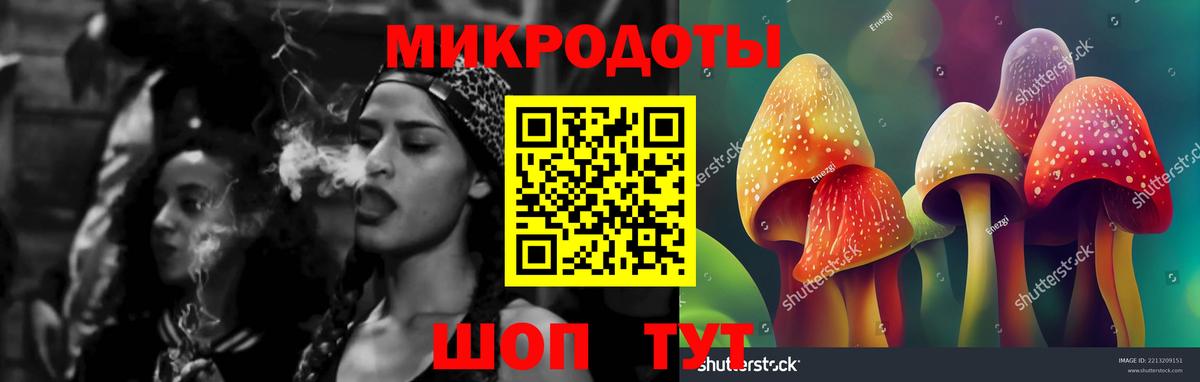 Псилоцибиновые грибы MAGIC MUSHROOMS Пермь